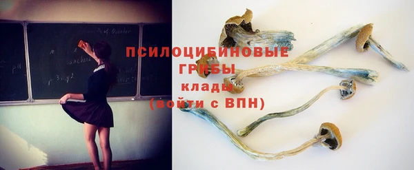 гидра Абинск