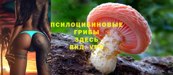гидра Абинск